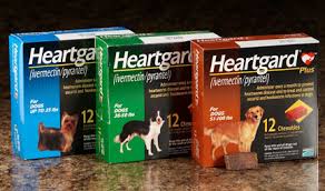 is heartgard safe for dogs